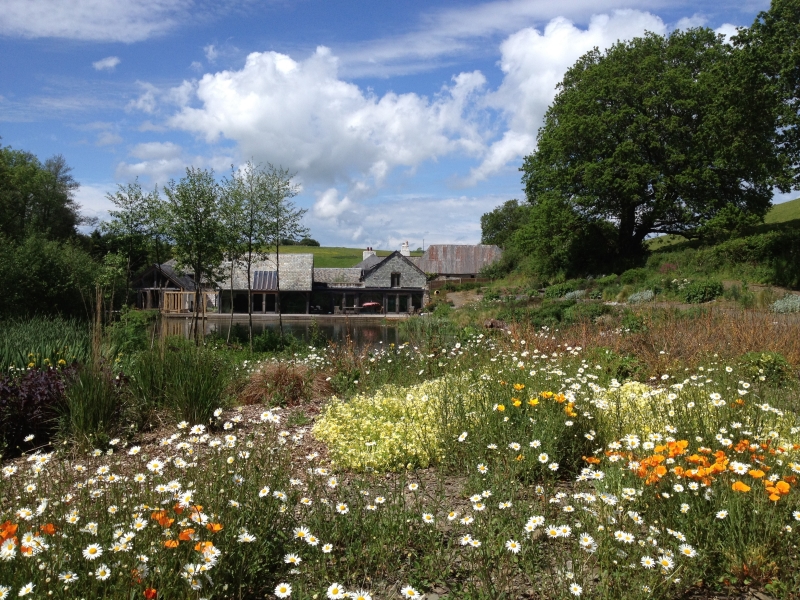 Am Brook Meadow